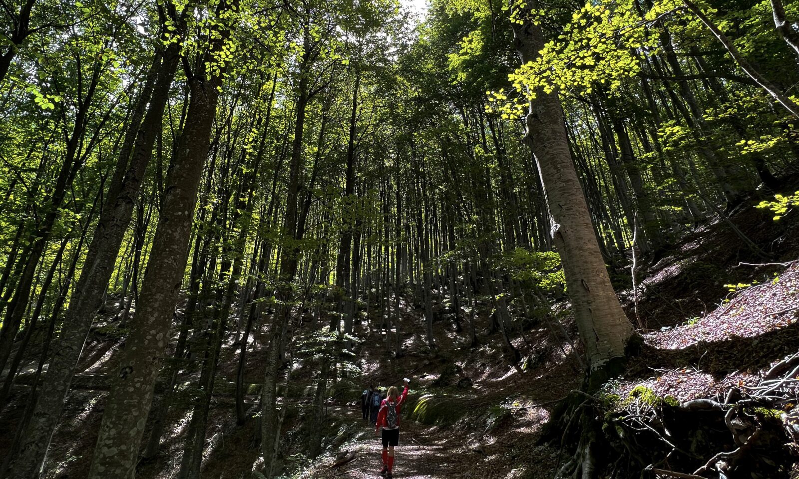 1-3-monumenti-naturali